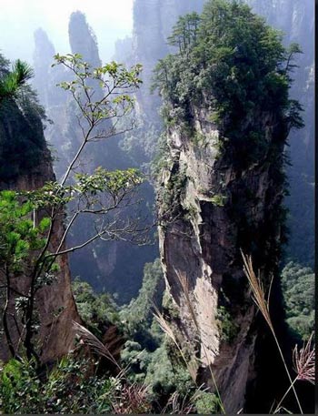 長(zhǎng)沙出發(fā)到張家界溶洞奇觀黃龍洞、國(guó)家森林公園、袁家界、峰林之王天子山三日游（早班）